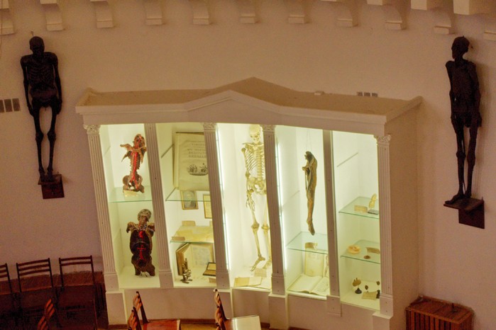 Анатомический музей