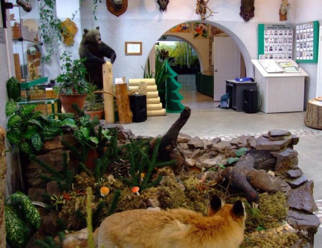 Музей леса по Красноярскому краю
