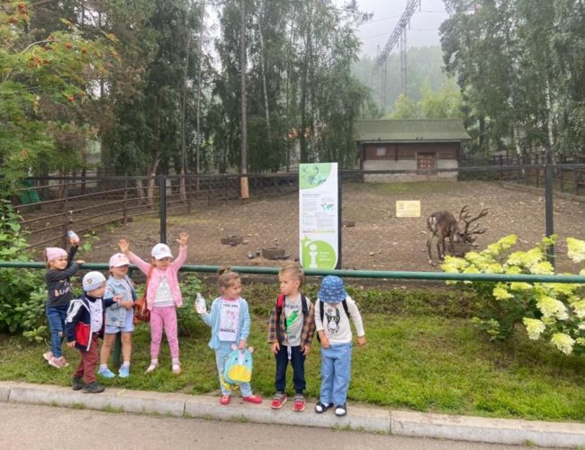 Прогулка в зоопарке