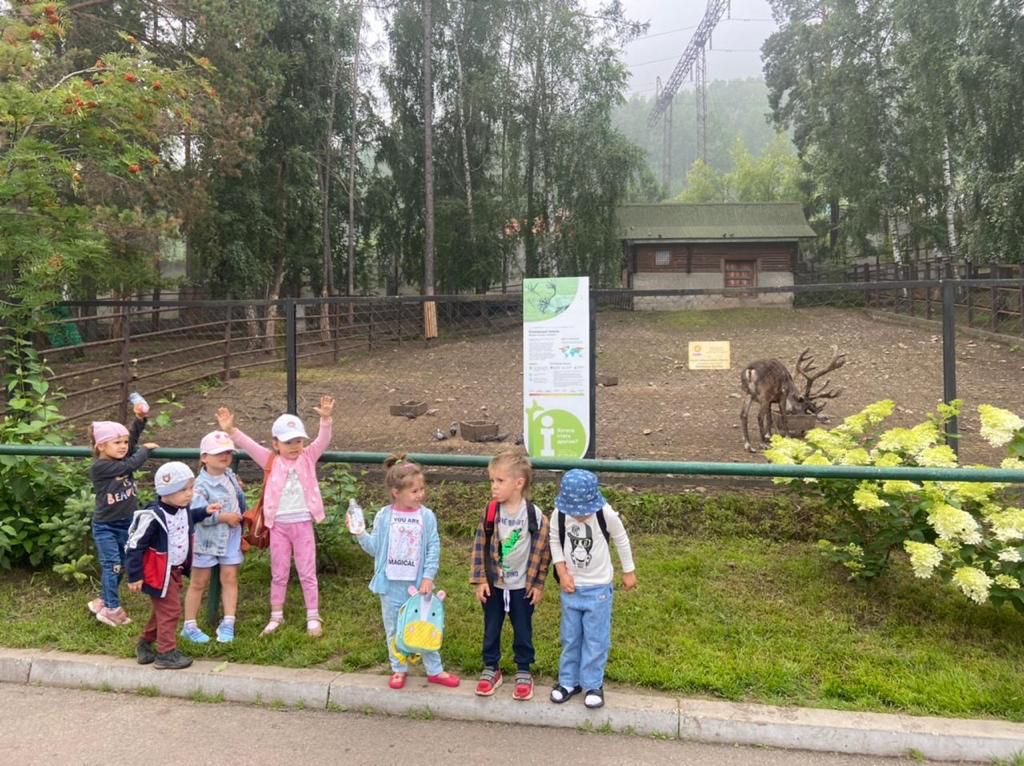 Прогулка в зоопарке